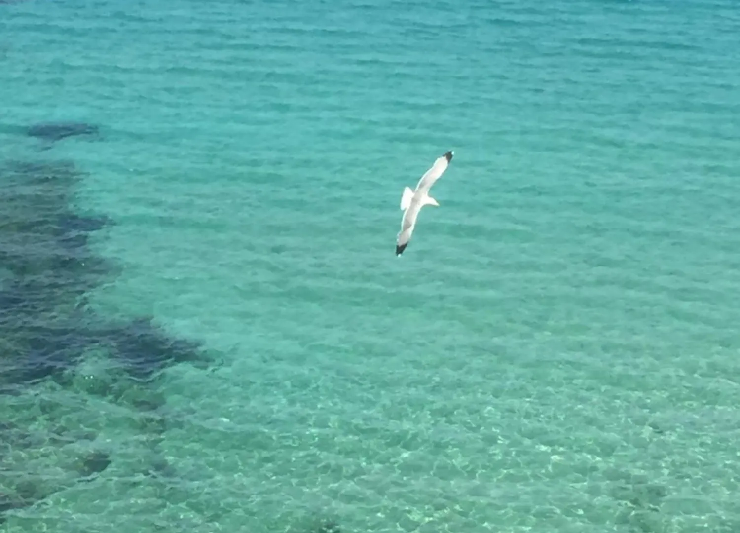 Sol Y Mar Camere E Appartamenti Castellammare del Golfo Bed & Breakfast